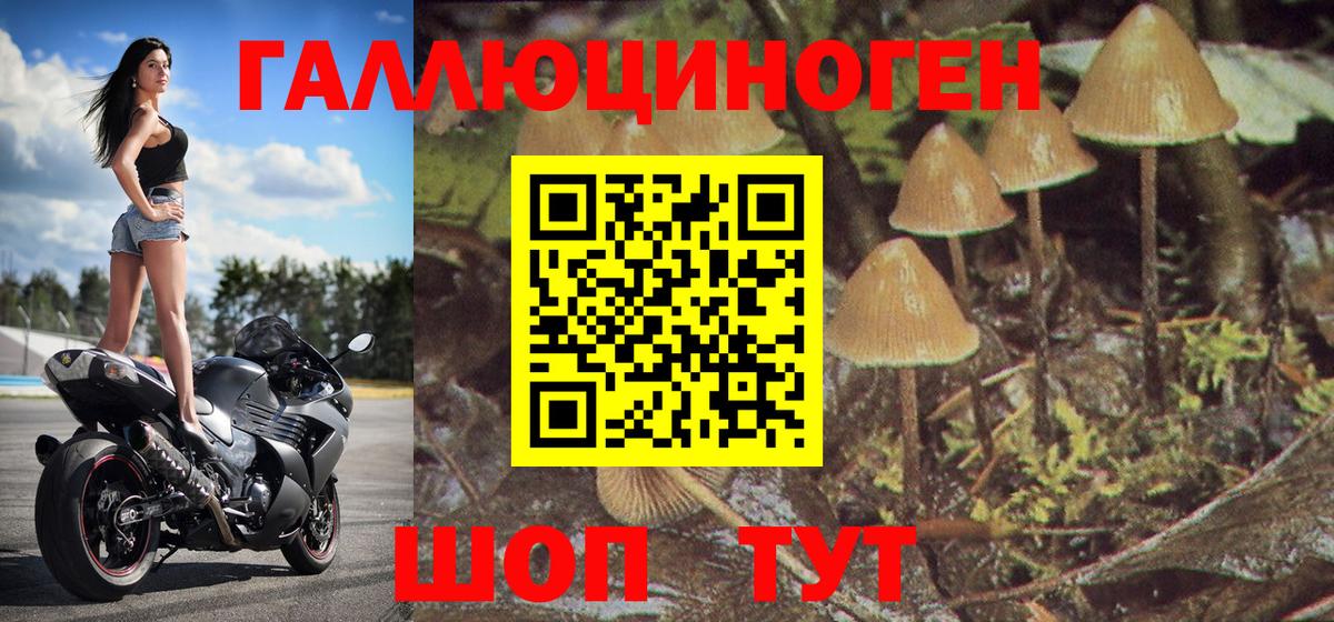 Галлюциногенные грибы MAGIC MUSHROOMS  Галлюциногенные грибы ЛСД  Вход с VPN  Бирск 